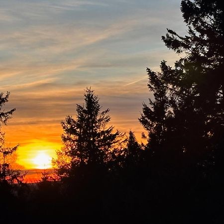 Ferienwohnung Wolkenplatz Winterberg Exteriör bild
