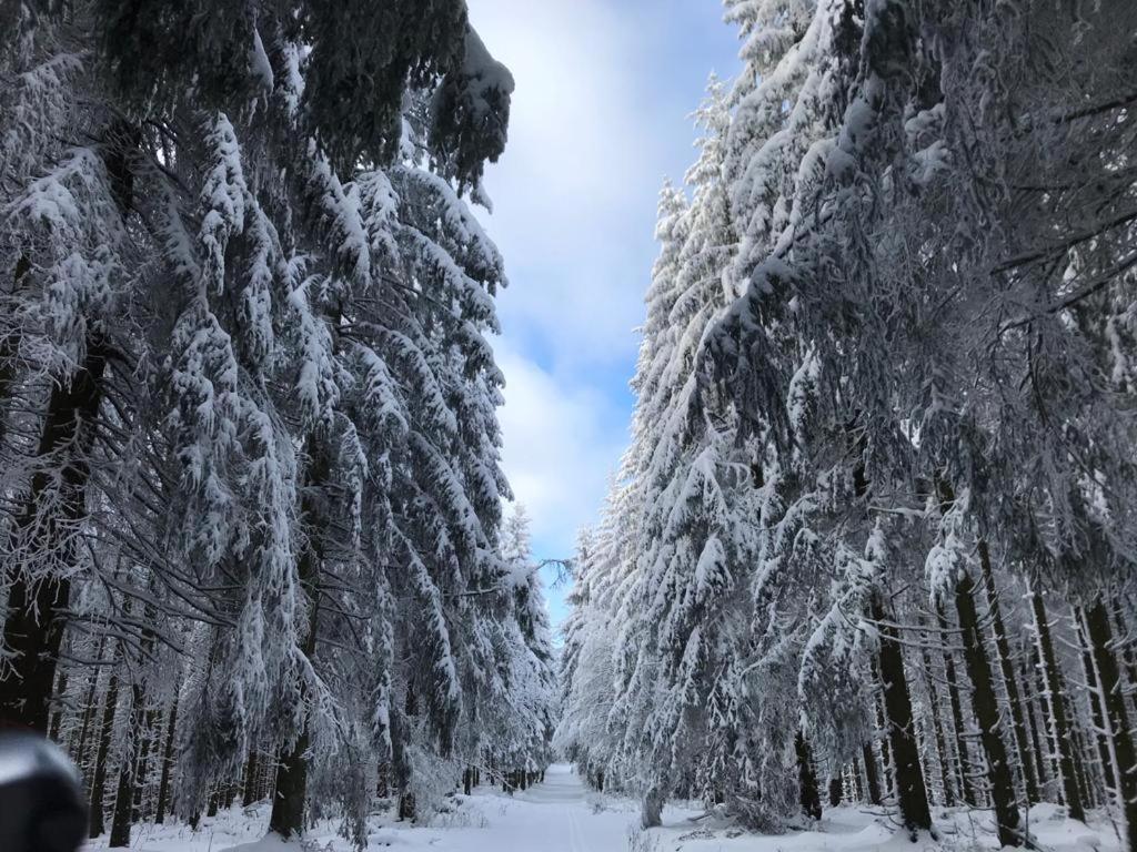 Ferienwohnung Wolkenplatz Winterberg Exteriör bild
