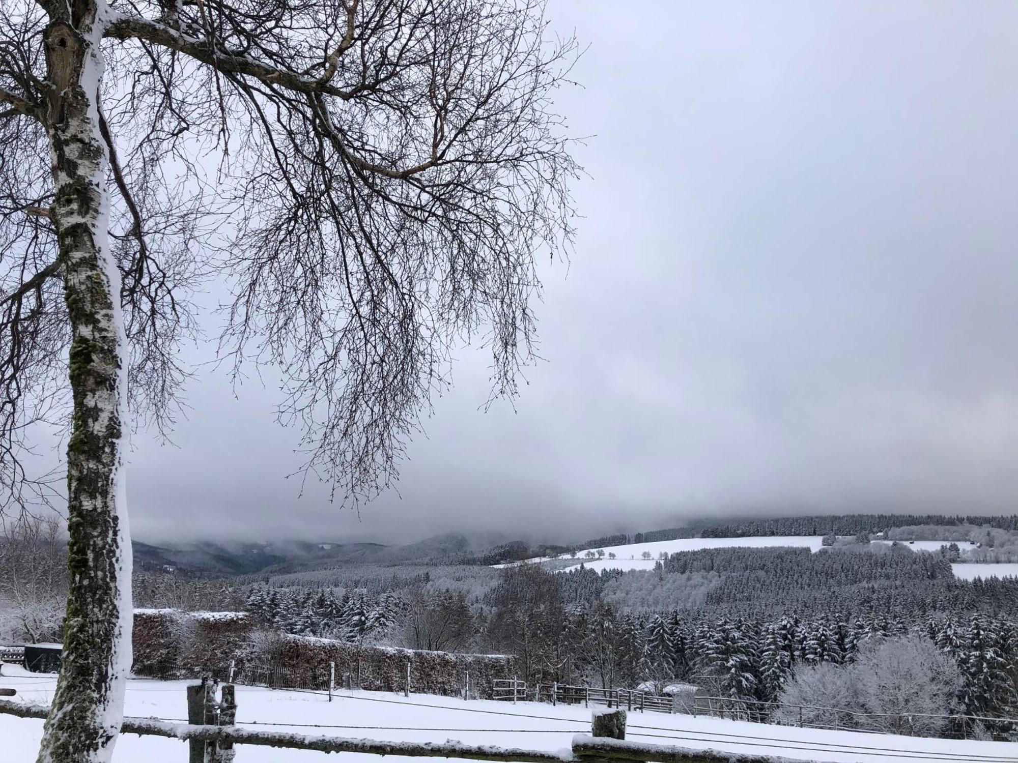 Ferienwohnung Wolkenplatz Winterberg Exteriör bild
