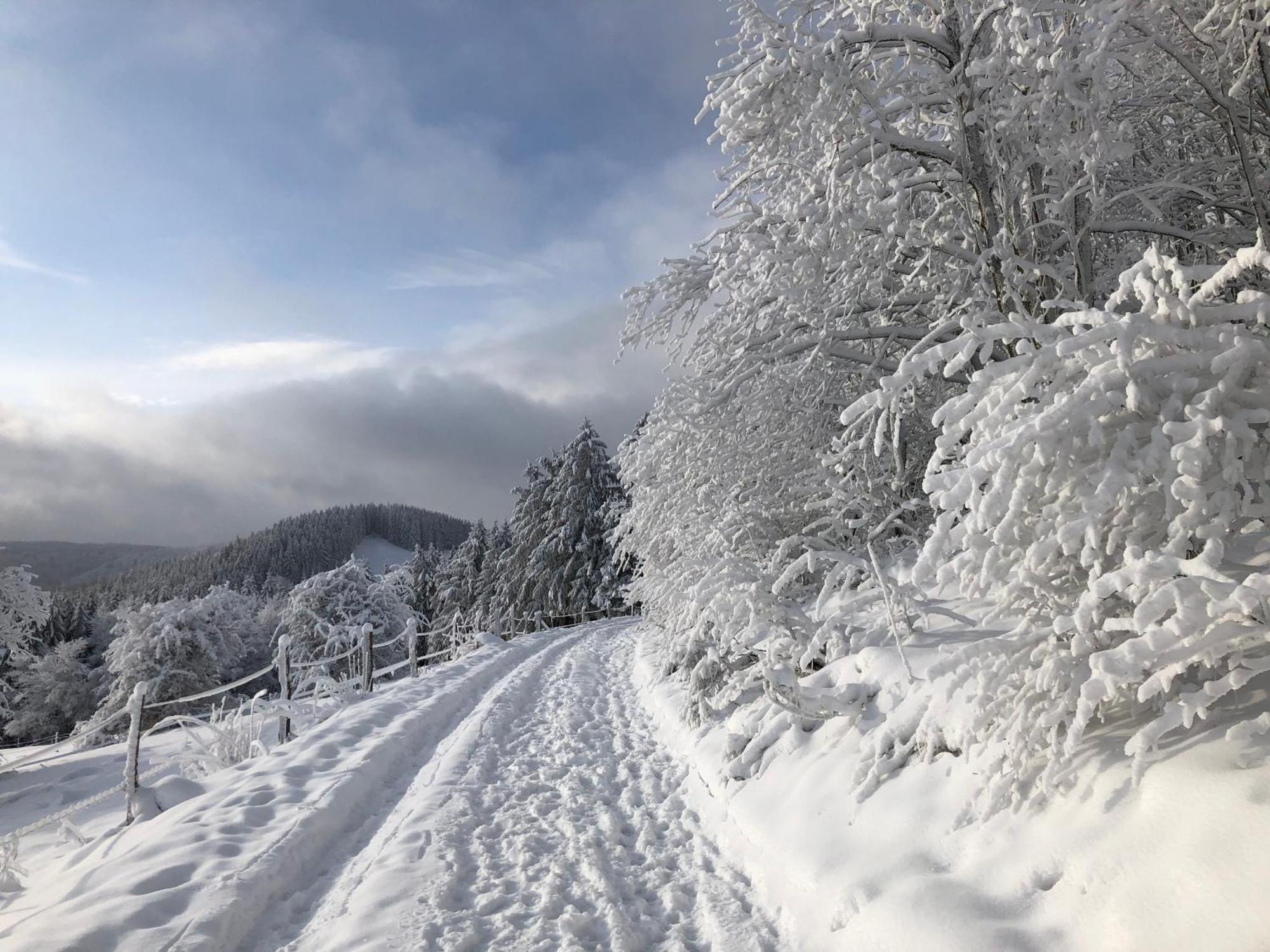 Ferienwohnung Wolkenplatz Winterberg Exteriör bild