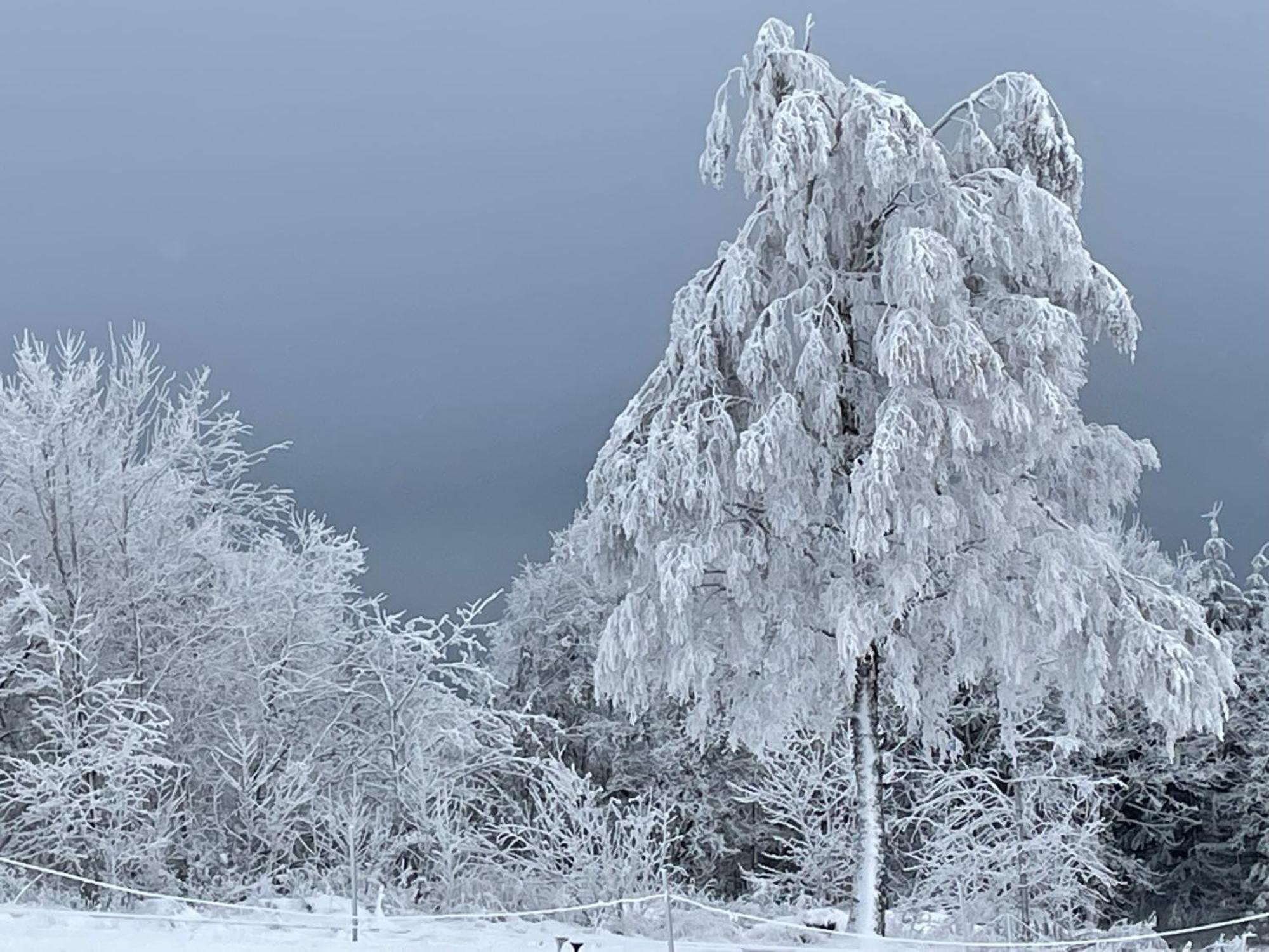 Ferienwohnung Wolkenplatz Winterberg Exteriör bild