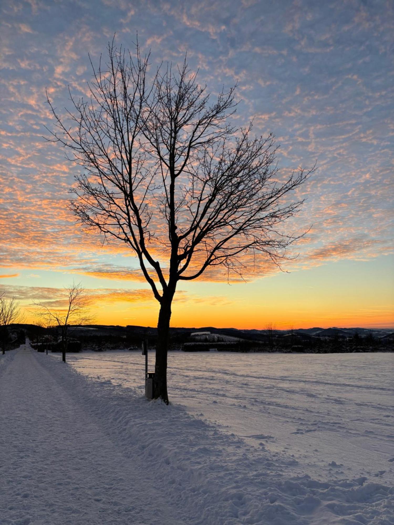Ferienwohnung Wolkenplatz Winterberg Exteriör bild