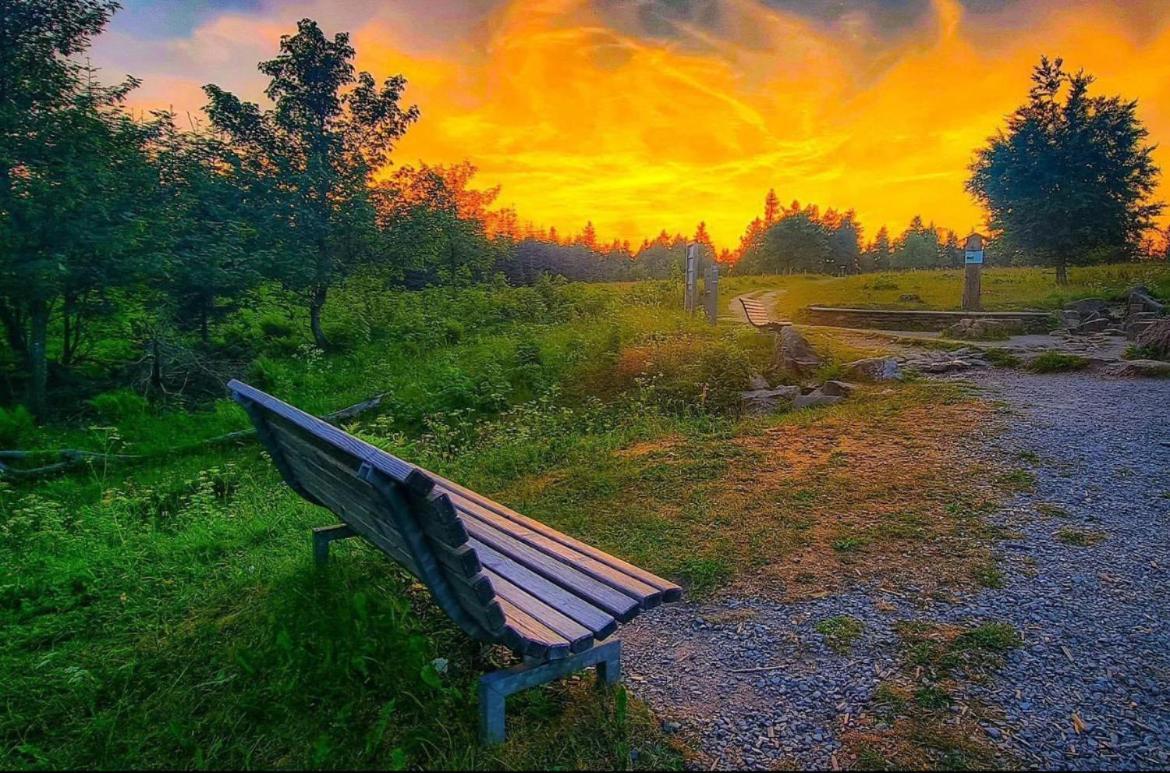 Ferienwohnung Wolkenplatz Winterberg Exteriör bild